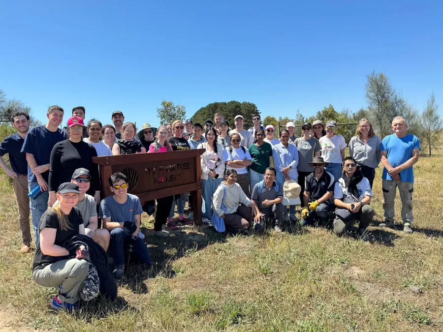 Team group activity at The Forktree Project