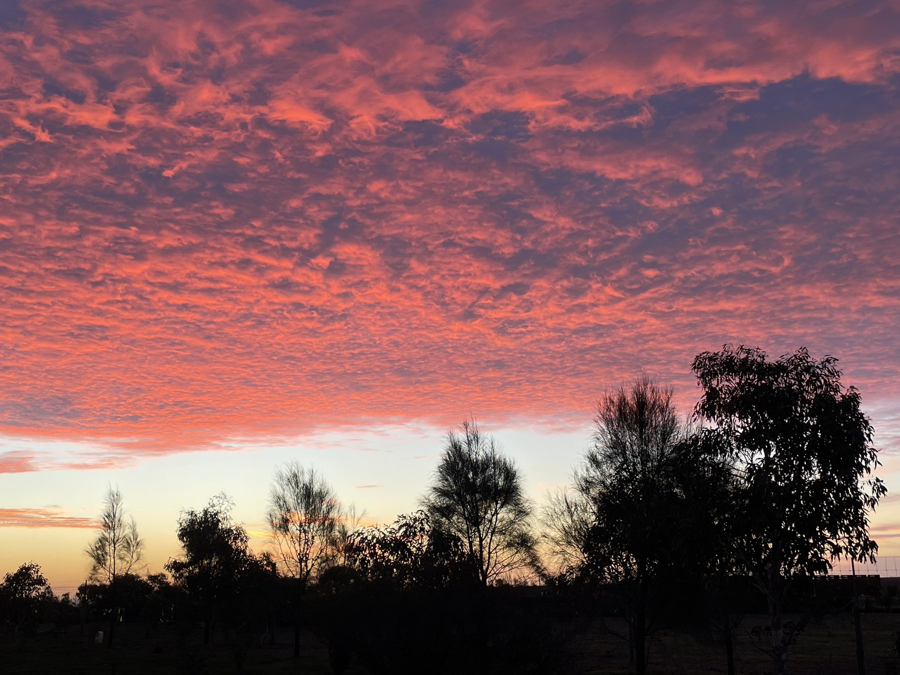 Sunset over the Forktree Project landscape