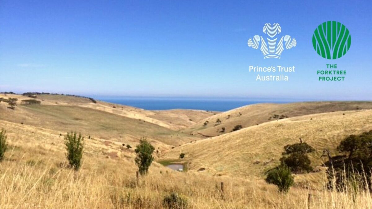 collaboration with prince's trust australia