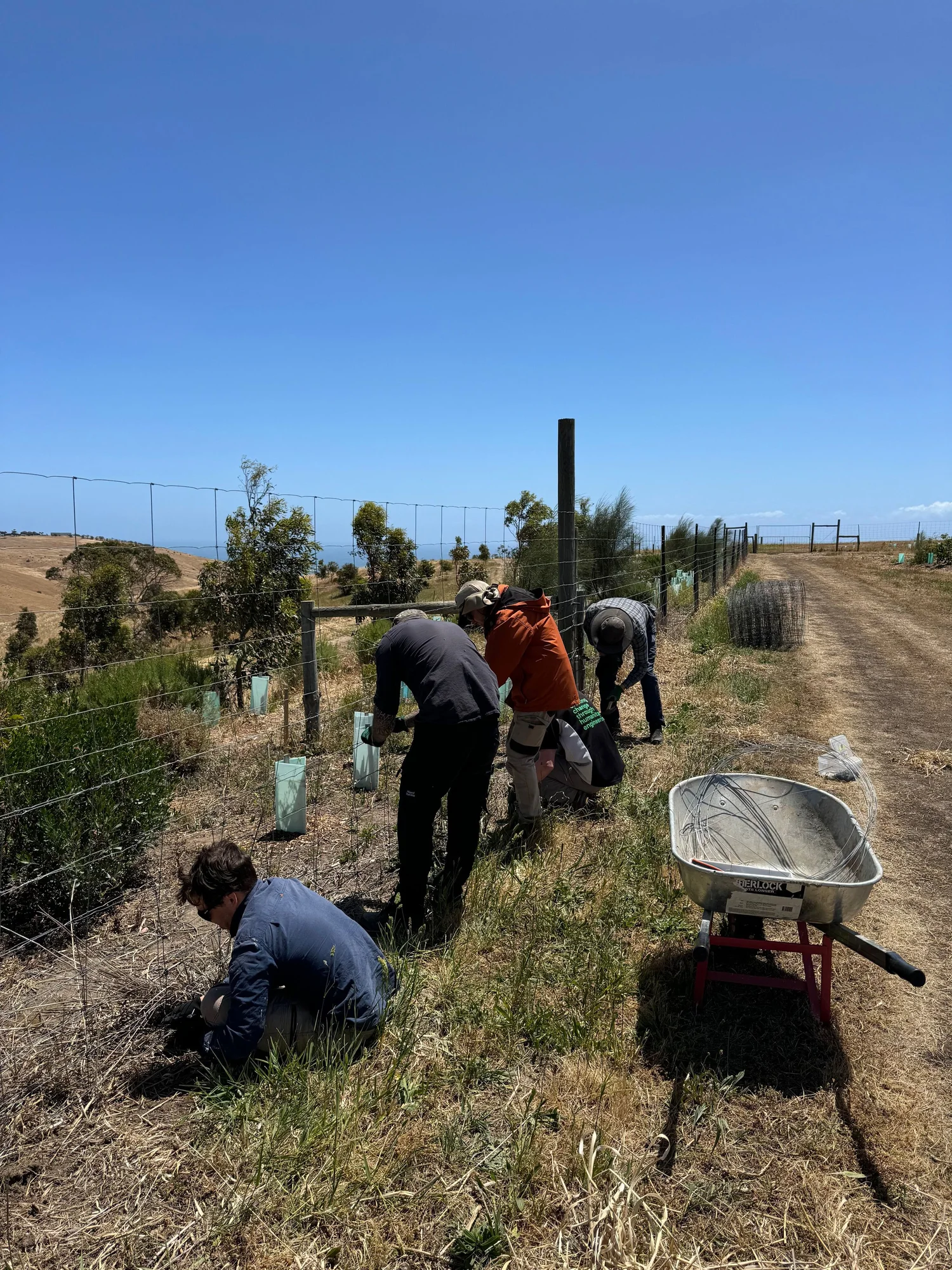 Engineers Without Borders at Forktree