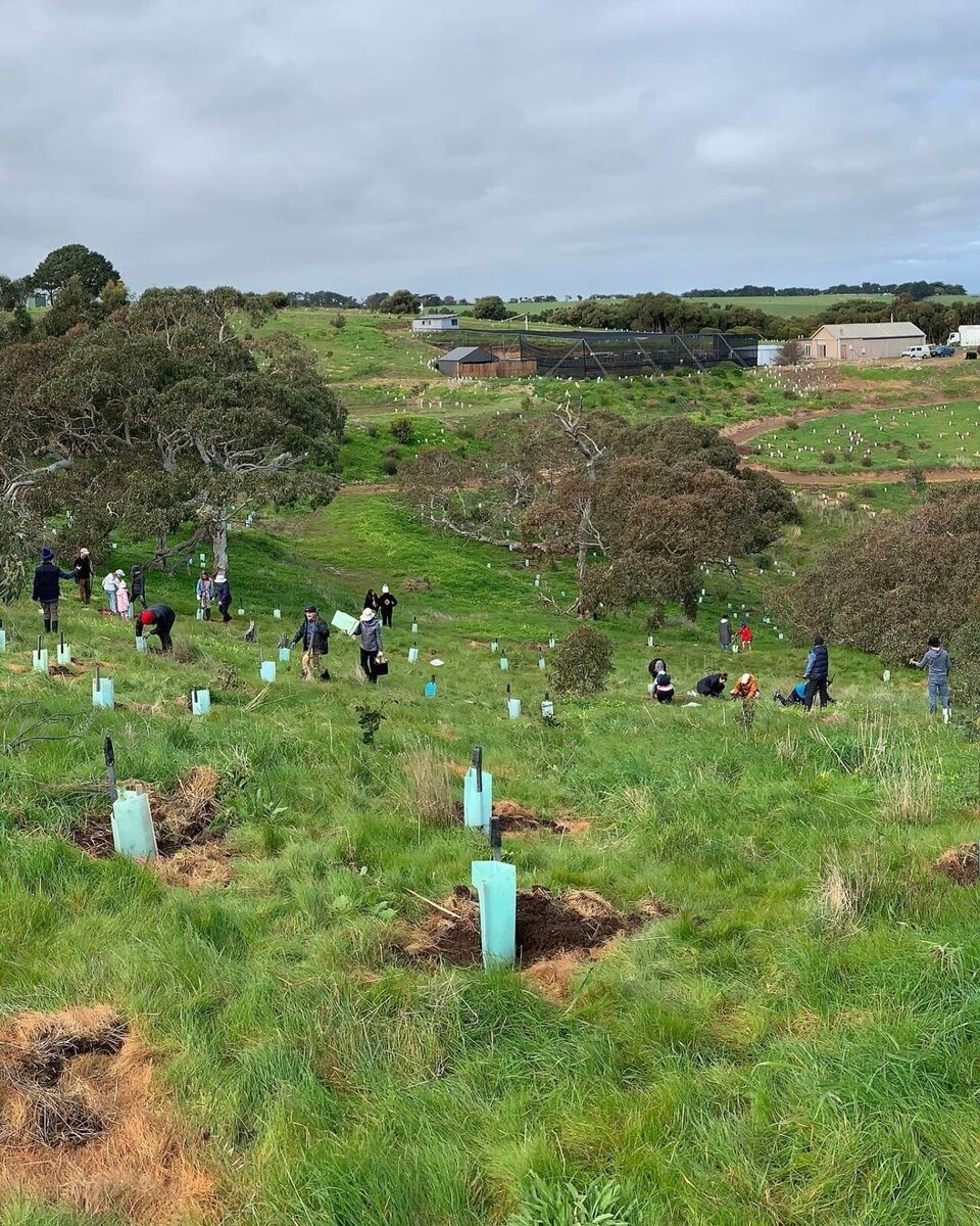 FRIENDS of forktree planting day for national tree day