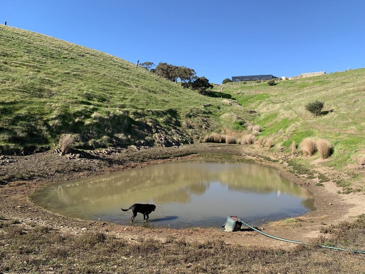 PREPARING TO PLANT THE FIRST GULLY