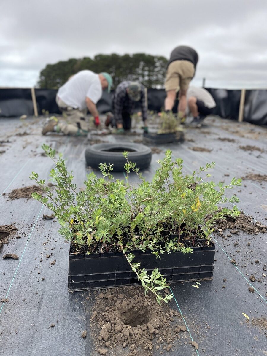 Seed bed up and running