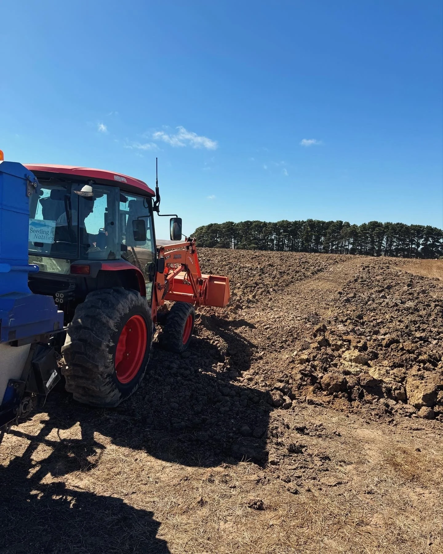 Seeding Frenzy