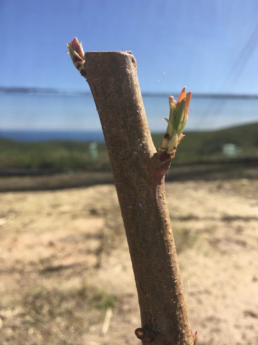 Spring has sprung...