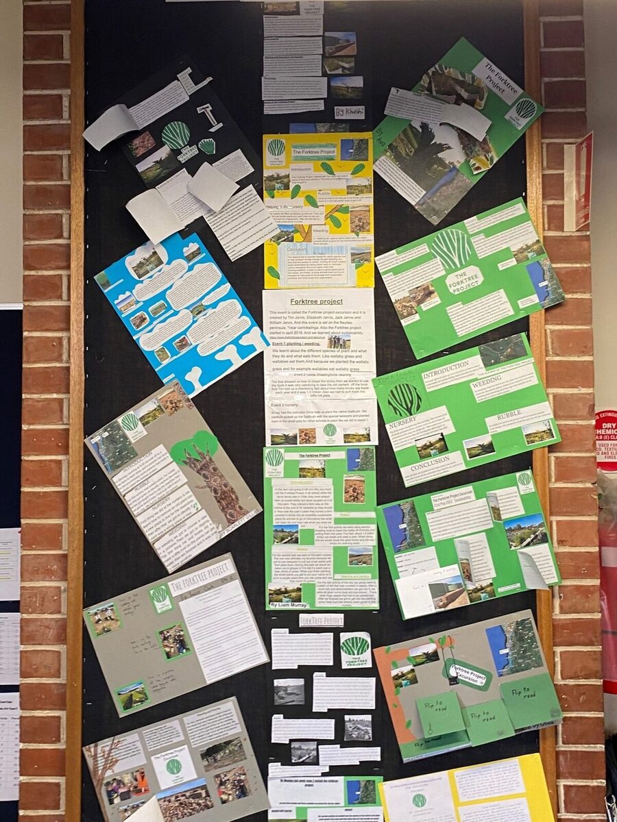 student feedback