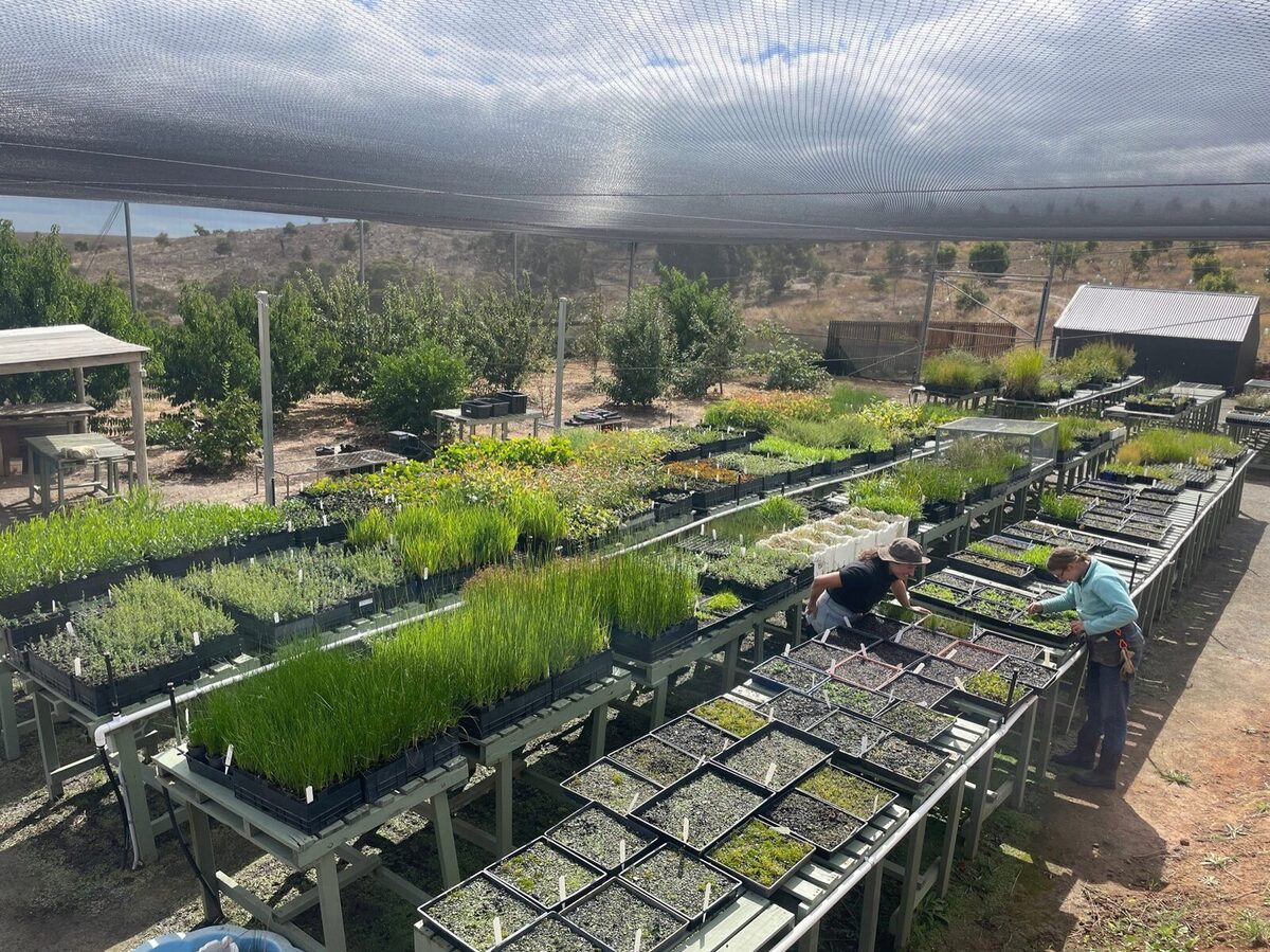 the home straight for planting season 2024