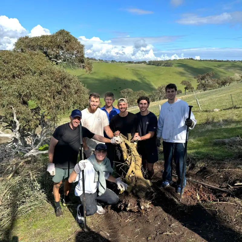 Crows Kick Goals for Biodiversity