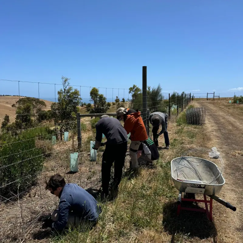 Engineers Without Borders at Forktree