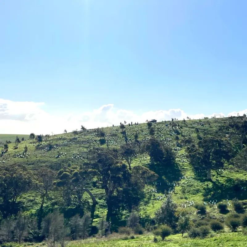 Friends of Forktree Planting Day 2024