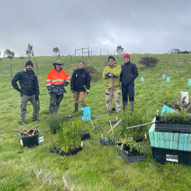 Friends of Forktree Planting Day 2025