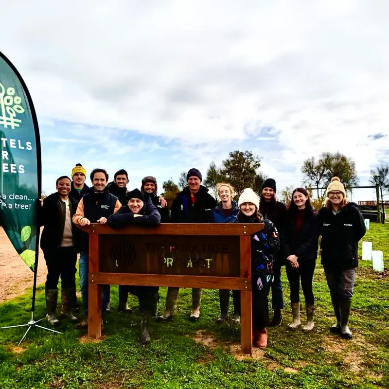 Hotels for Trees at The Forktree Project