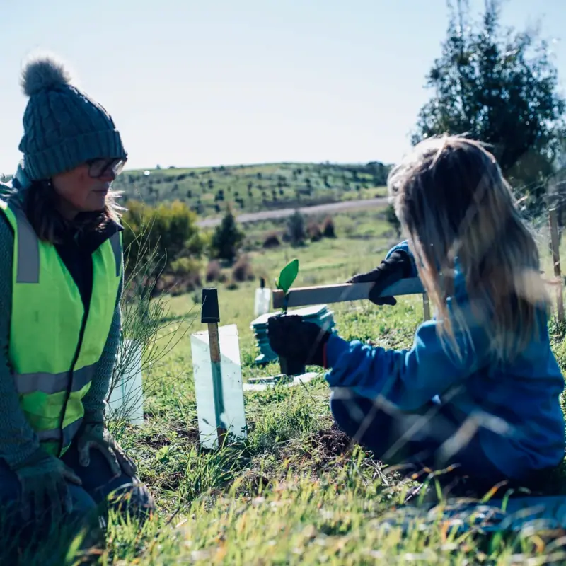 Nature Play SA and Hallett Cove South at Forktree