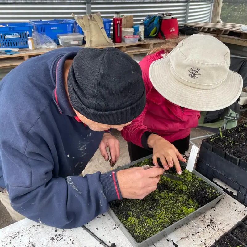 PLANTING PREP