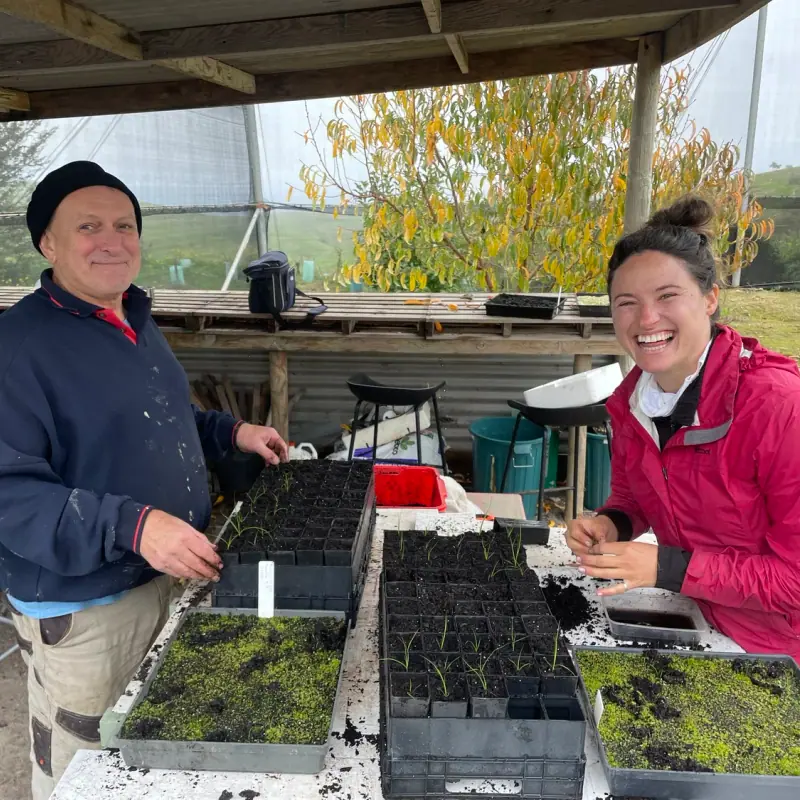 Planting Prep