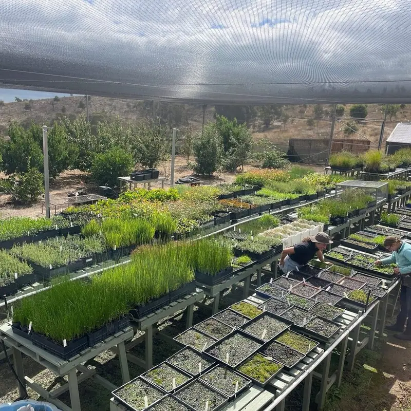 the home straight for planting season 2024
