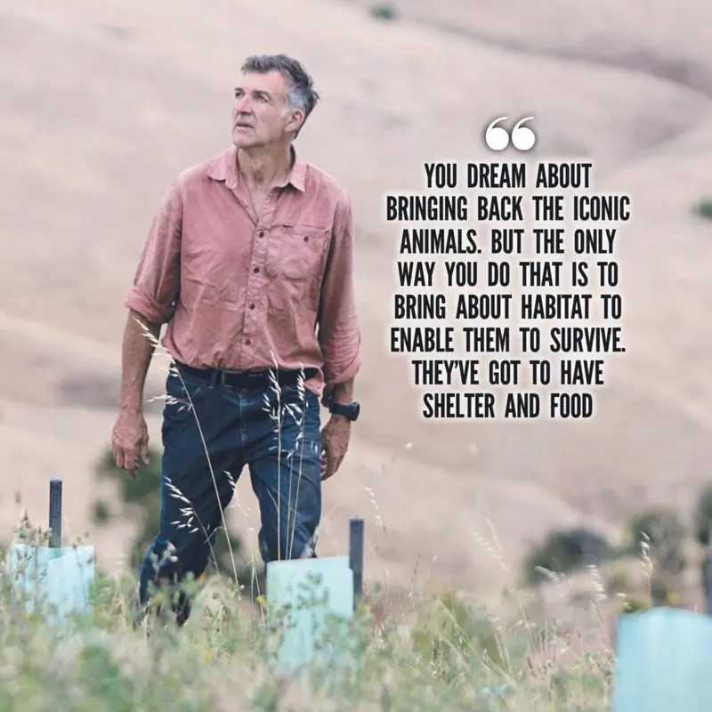 "Wild at Heart"