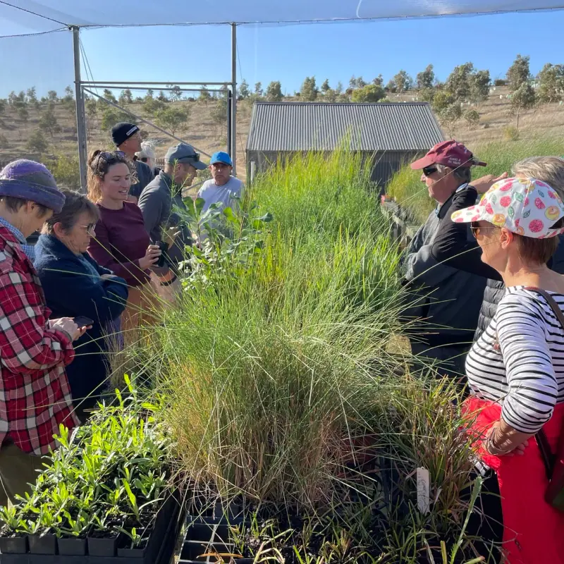 Working with The Fleurieu Swamp Restoration Network