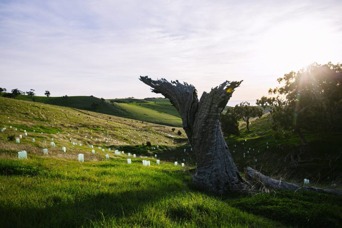 WHAT'S IN A NAME?