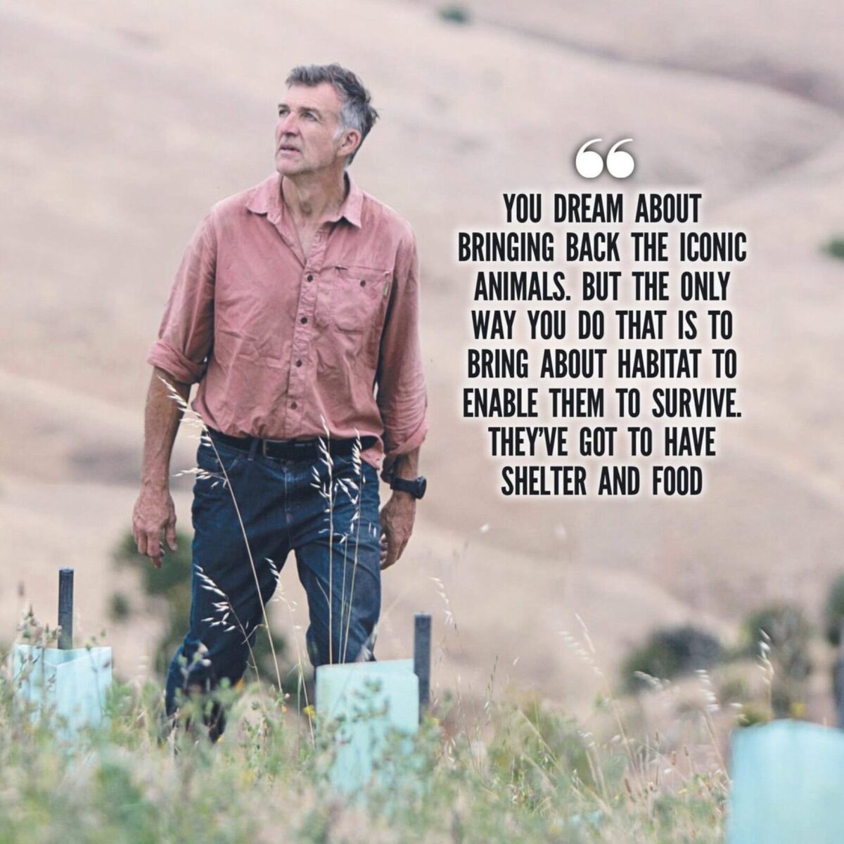 "Wild at Heart"