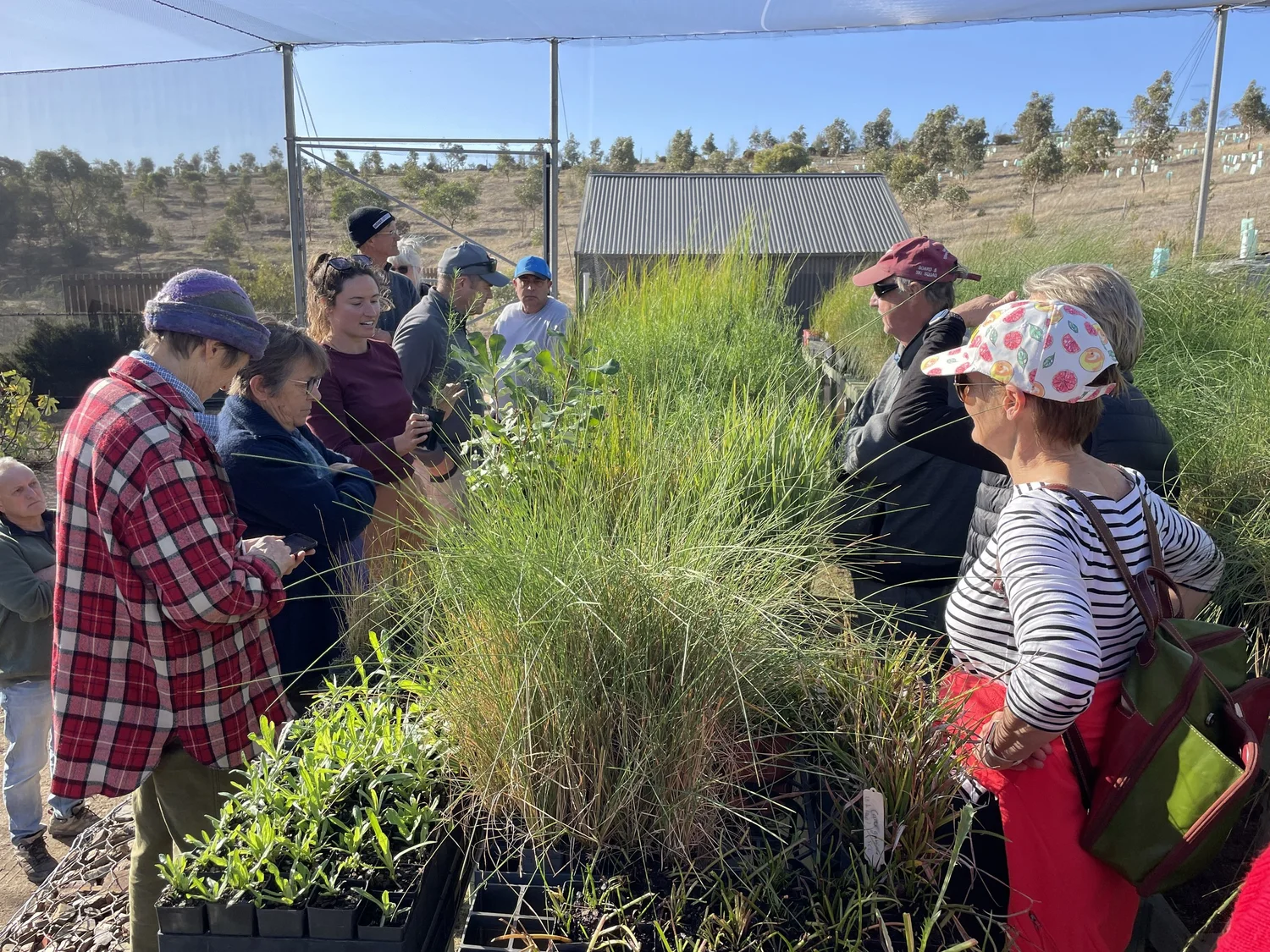 Working with The Fleurieu Swamp Restoration Network