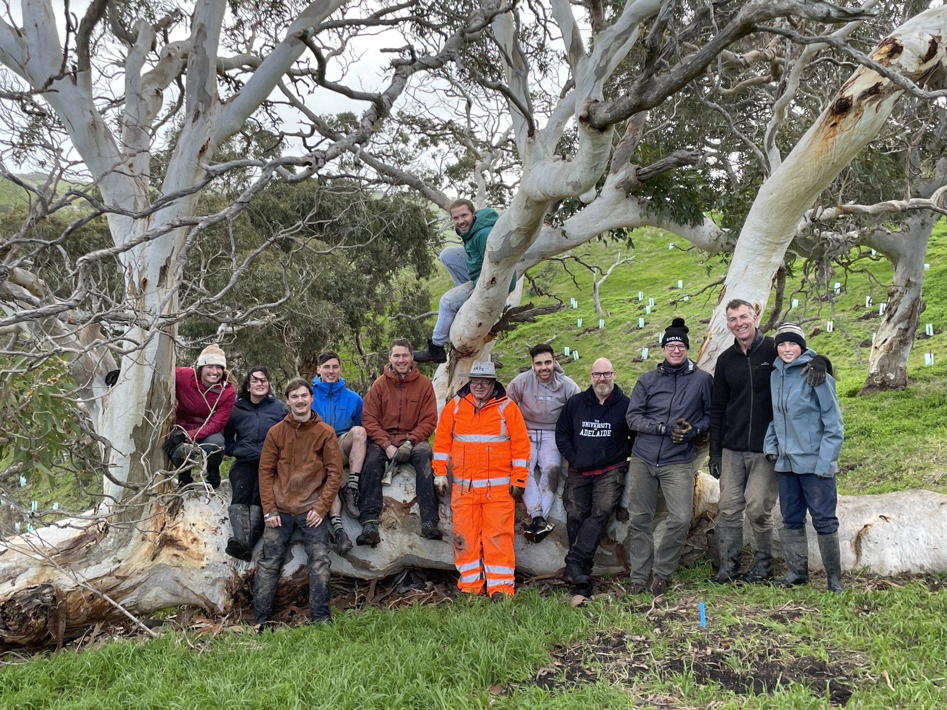 Team group photo at The Forktree Project